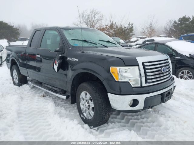 FORD F-150 2010 1ftfx1ev1afd03366