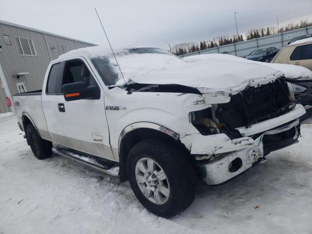 FORD F150 SUPER 2010 1ftfx1ev1afd05943