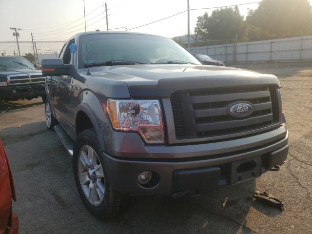 FORD F150 SUPER 2010 1ftfx1ev1afd07482