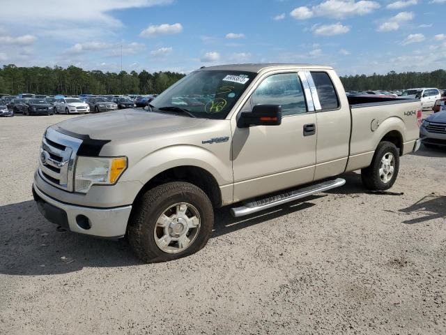 FORD F150 SUPER 2010 1ftfx1ev1afd22452