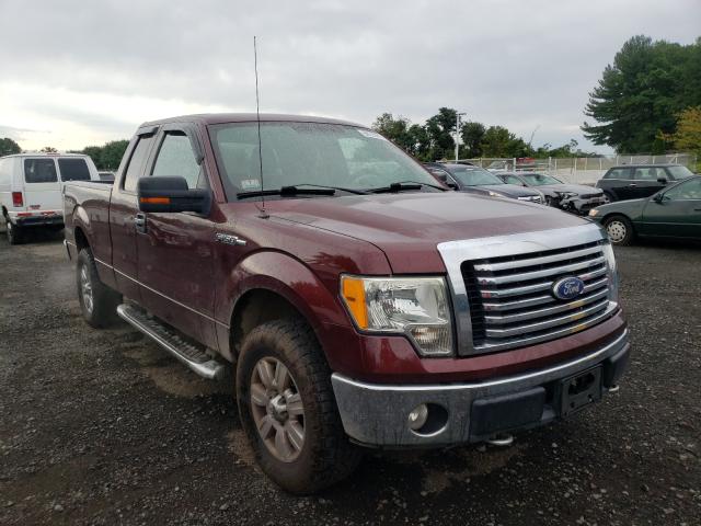 FORD F150 SUPER 2010 1ftfx1ev1afd37517