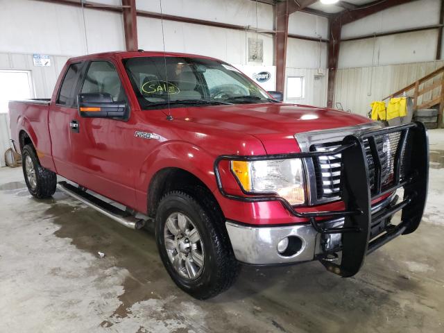 FORD F150 SUPER 2010 1ftfx1ev1afd68797