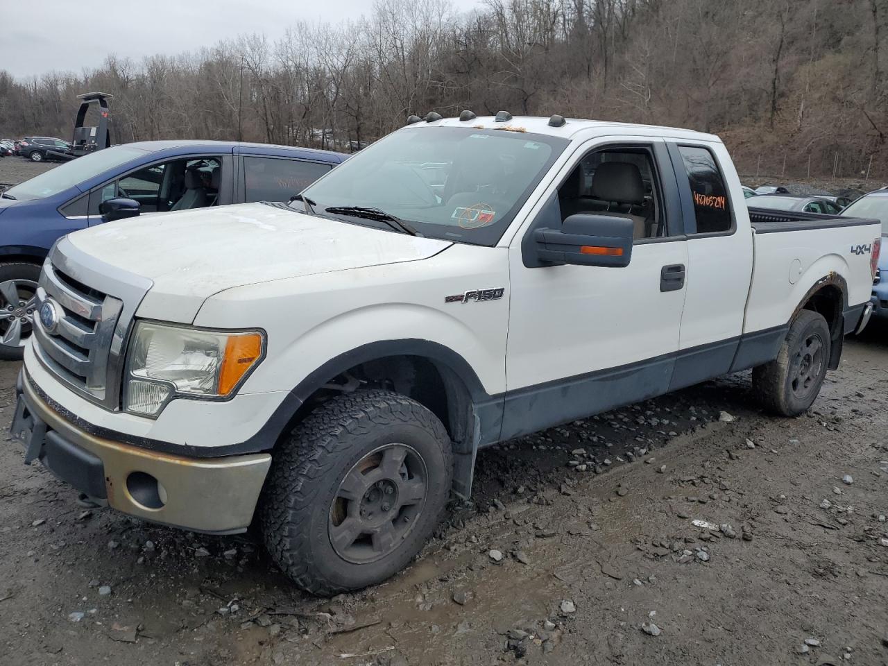 FORD F-150 2010 1ftfx1ev1akc11441