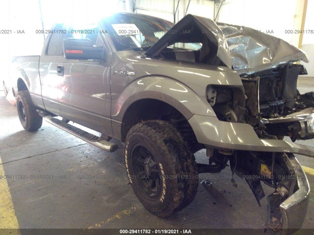 FORD F-150 2010 1ftfx1ev2afa01875