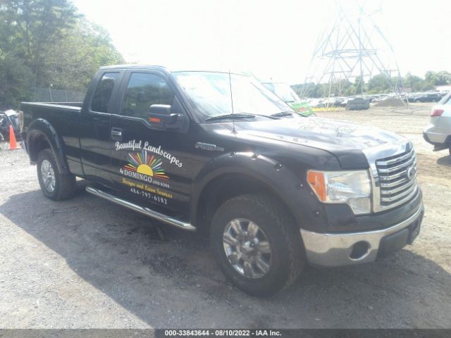 FORD F-150 2010 1ftfx1ev2afb06206