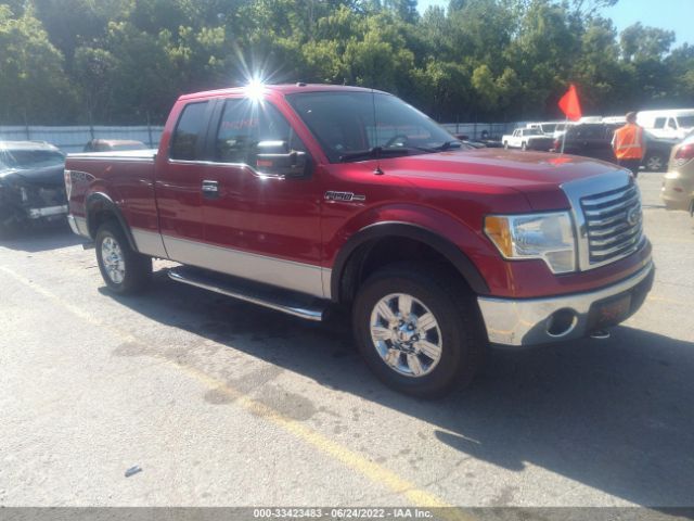 FORD F-150 2010 1ftfx1ev2afd24503