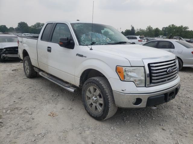 FORD F150 SUPER 2010 1ftfx1ev2afd52706