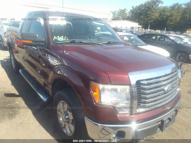 FORD F-150 2010 1ftfx1ev2afd53726