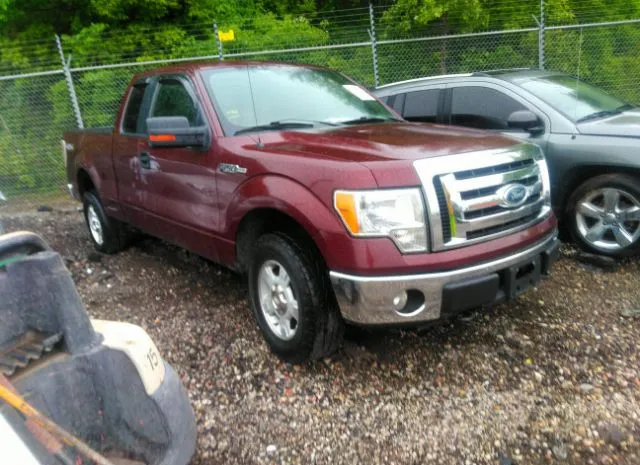 FORD F-150 2010 1ftfx1ev2afd63642