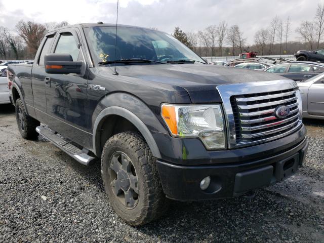 FORD F-150 2010 1ftfx1ev3afa03375