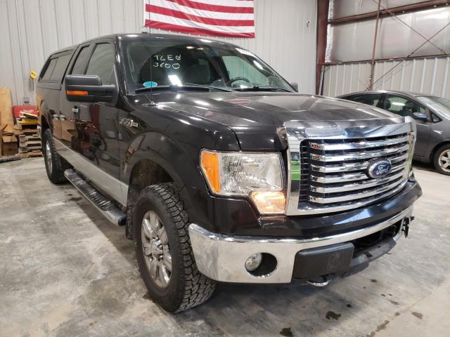 FORD F150 SUPER 2010 1ftfx1ev3afa63401