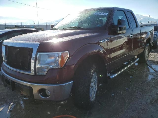 FORD F150 SUPER 2010 1ftfx1ev3afc22739