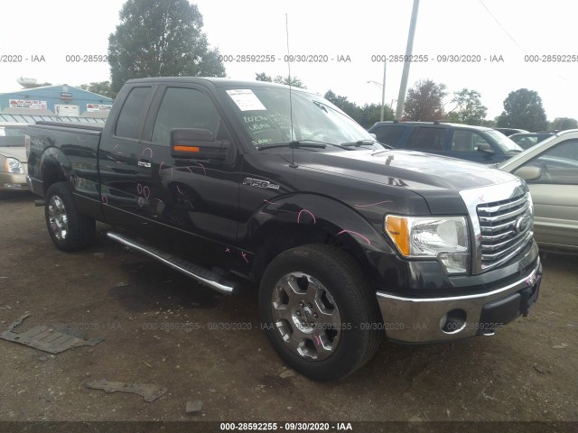 FORD F-150 2010 1ftfx1ev3afd24137