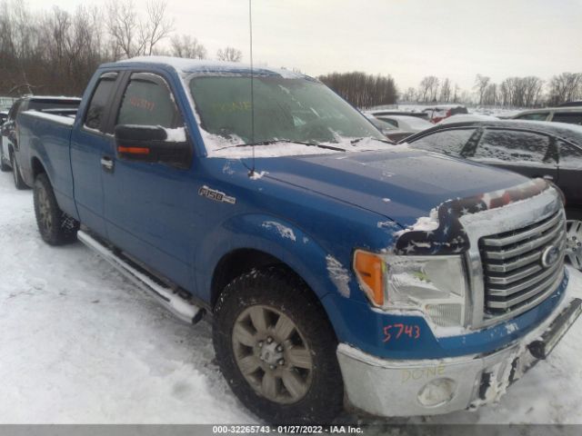 FORD F-150 2010 1ftfx1ev3afd41892