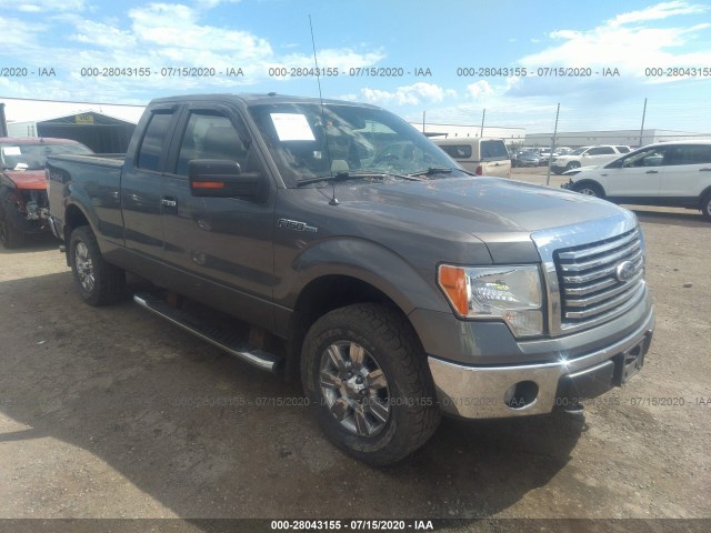 FORD F-150 2010 1ftfx1ev4afa62094