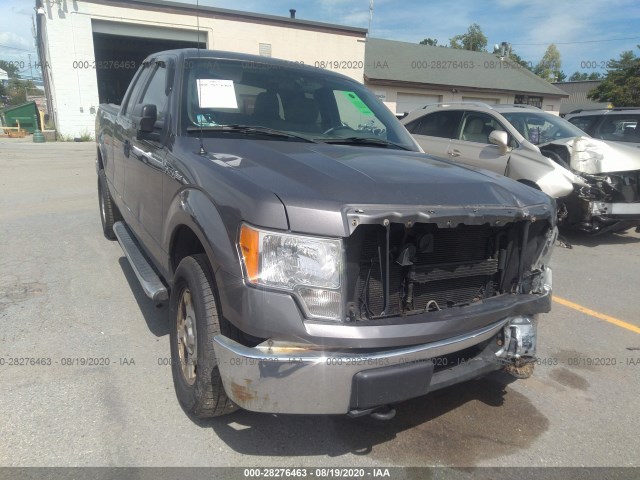 FORD F-150 2010 1ftfx1ev4afd00767