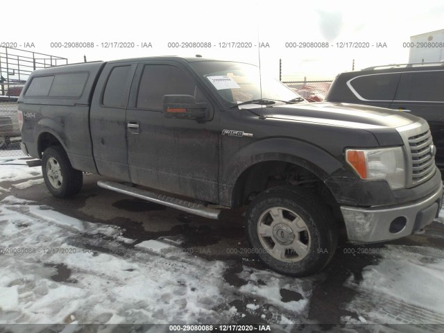 FORD F-150 2010 1ftfx1ev4afd11509