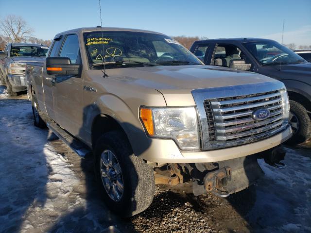 FORD F150 SUPER 2010 1ftfx1ev4ake64656