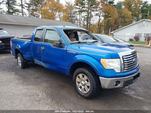 FORD F-150 2010 1ftfx1ev5afb44982