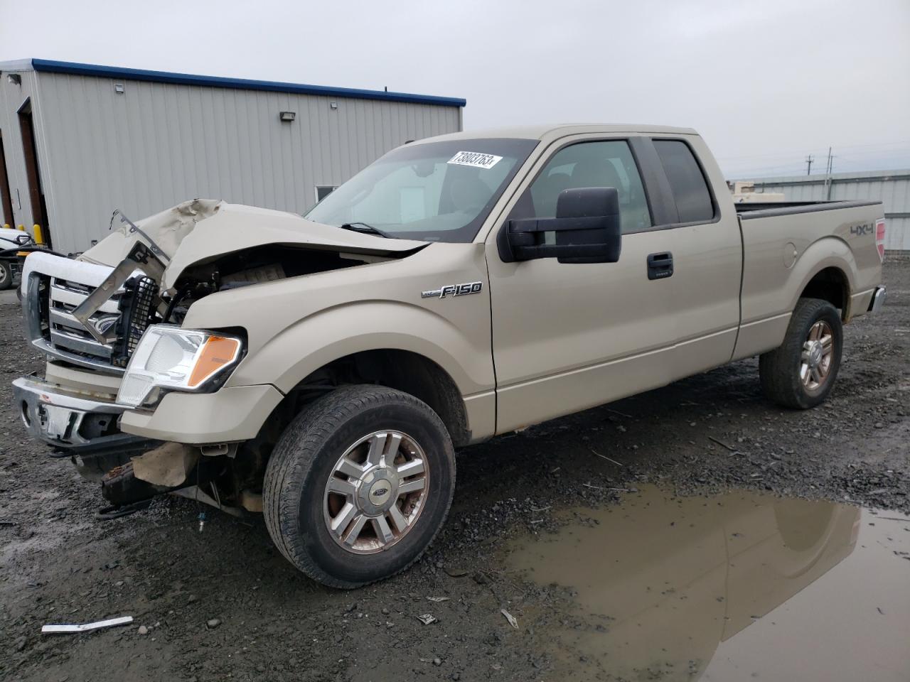 FORD F-150 2010 1ftfx1ev5afb89744