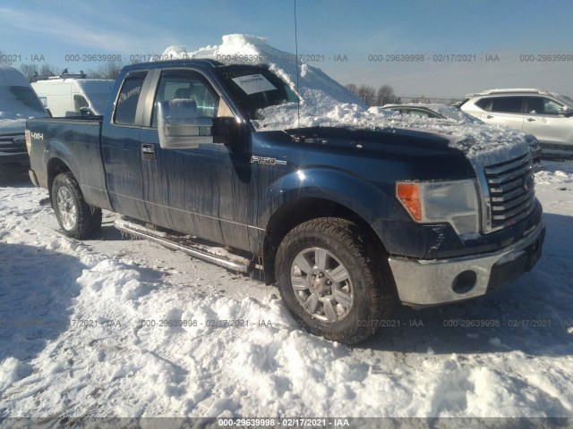 FORD F-150 2010 1ftfx1ev5afc61154