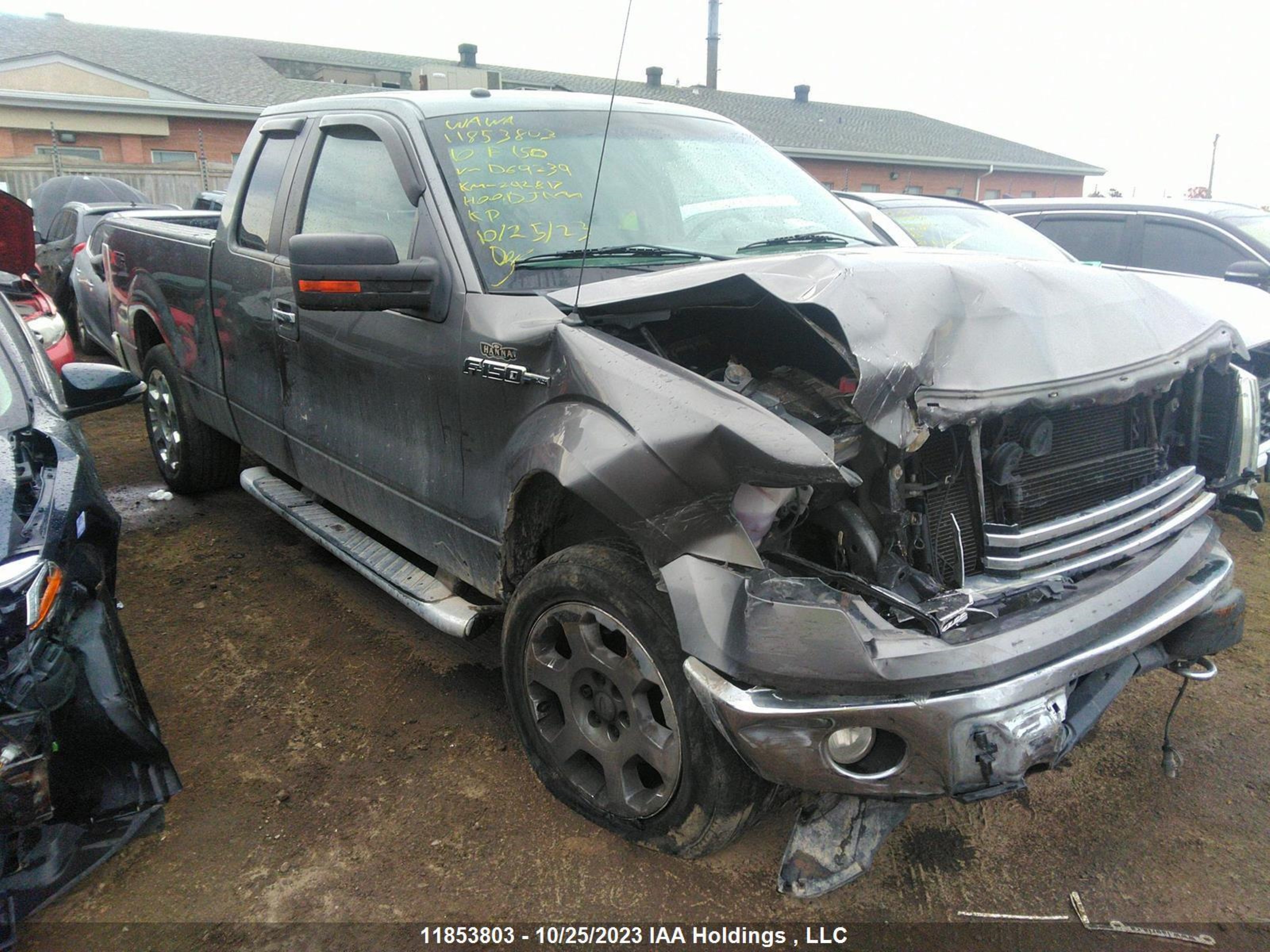 FORD F-150 2010 1ftfx1ev5afd69239