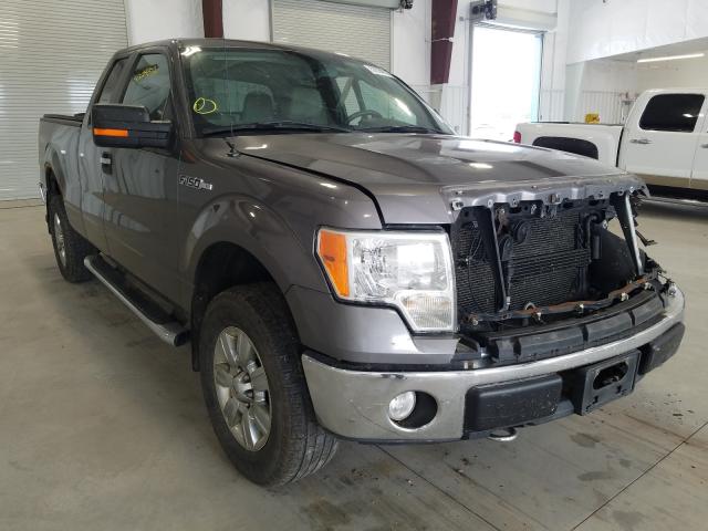 FORD F150 SUPER 2010 1ftfx1ev5akc20398