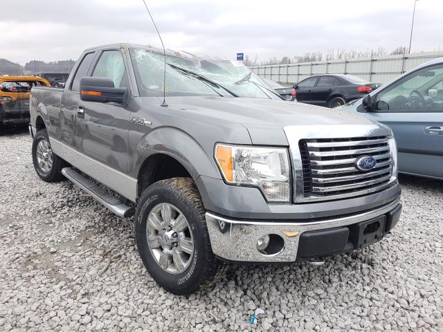 FORD F150 SUPER 2010 1ftfx1ev5ake13179