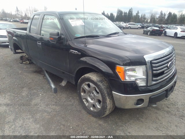 FORD F-150 2010 1ftfx1ev6afb03955