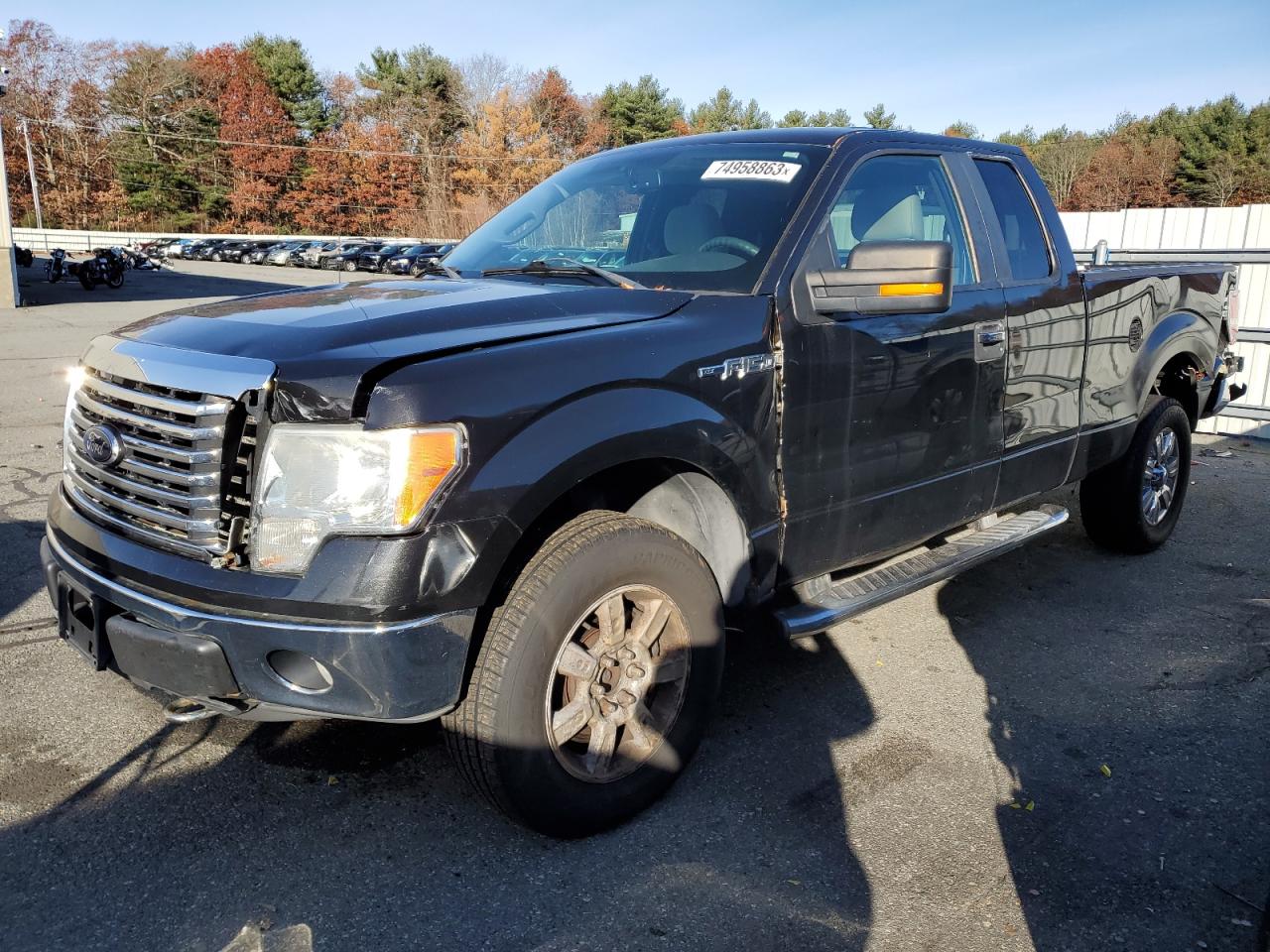 FORD F-150 2010 1ftfx1ev6afc42211