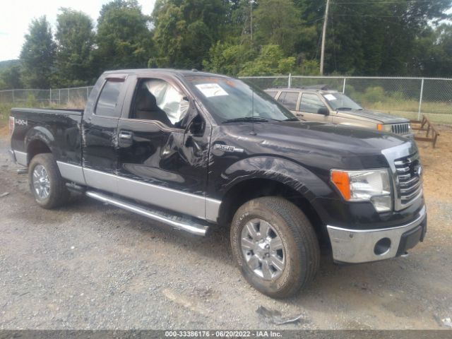 FORD F-150 2010 1ftfx1ev6afc42709