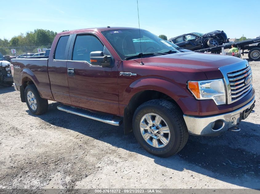 FORD F-150 2010 1ftfx1ev6afc42824