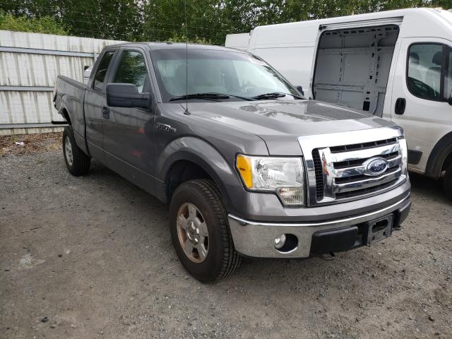 FORD F150 SUPER 2010 1ftfx1ev6afd34631