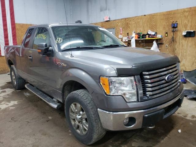 FORD F-150 2010 1ftfx1ev6afd53776