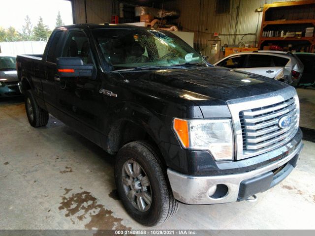 FORD F-150 2010 1ftfx1ev6afd63515