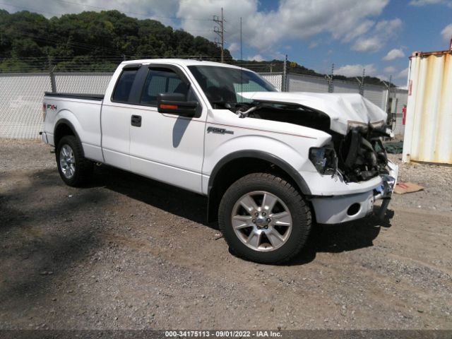 FORD F-150 2010 1ftfx1ev6afd75261