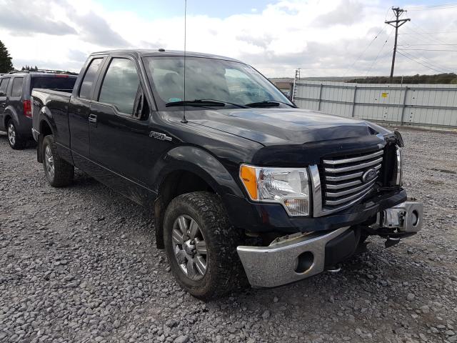 FORD F150 SUPER 2010 1ftfx1ev6afd75664