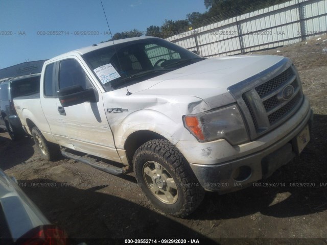 FORD F-150 2010 1ftfx1ev7afa09051