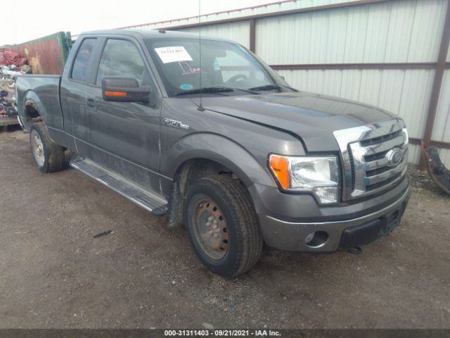 FORD F-150 2010 1ftfx1ev7afa91086