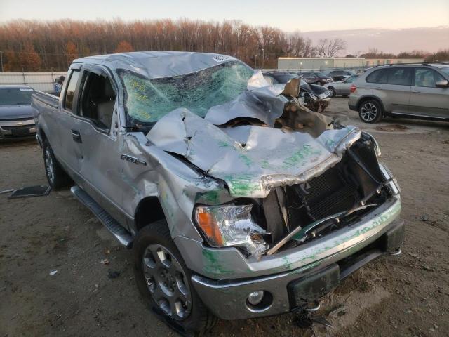 FORD F150 SUPER 2010 1ftfx1ev7afd10239