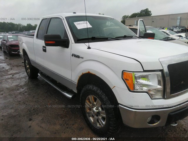 FORD F-150 2010 1ftfx1ev7afd10841