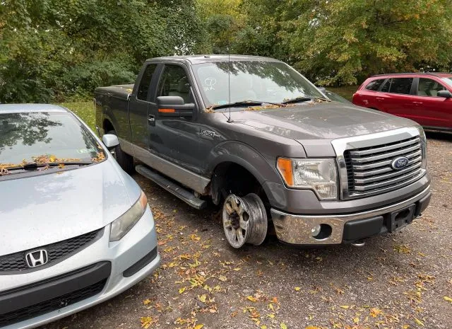 FORD F-150 2010 1ftfx1ev7afd31043