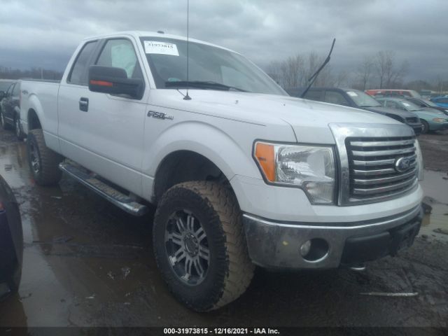 FORD F-150 2010 1ftfx1ev7afd77049