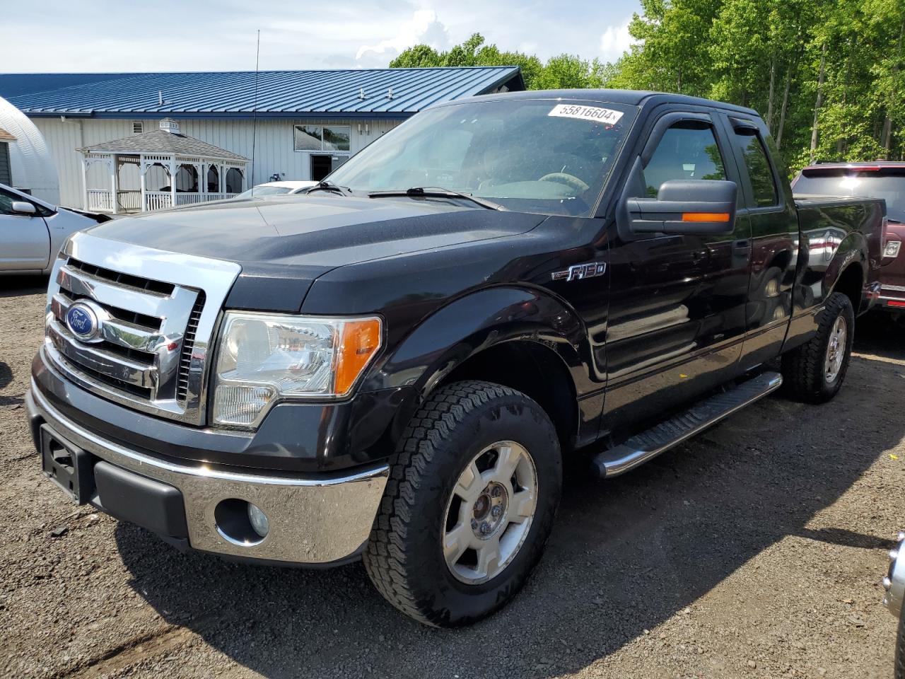 FORD F-150 2010 1ftfx1ev8afa01606