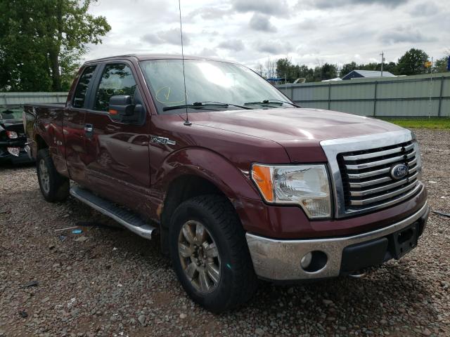 FORD F150 SUPER 2010 1ftfx1ev8afc74450