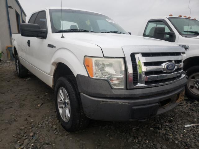 FORD F150 SUPER 2010 1ftfx1ev8akb68281