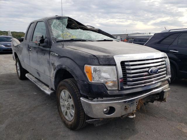 FORD F150 SUPER 2010 1ftfx1ev8ake49125