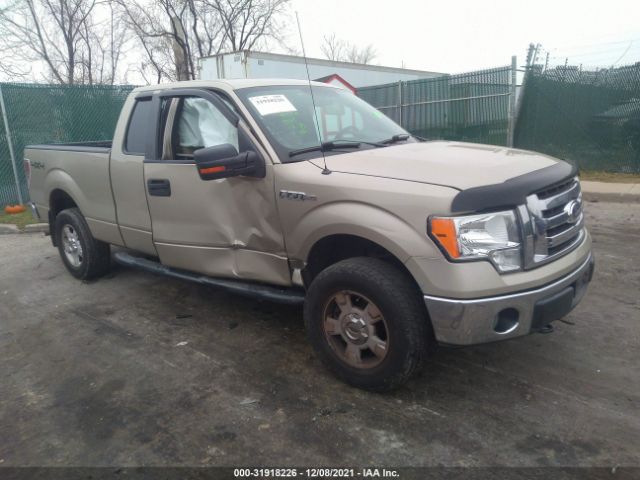 FORD F-150 2010 1ftfx1ev9afb53541