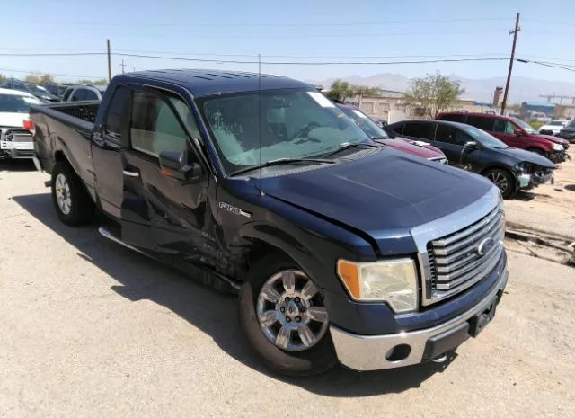 FORD F-150 2010 1ftfx1ev9afc97980