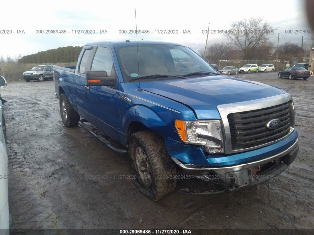 FORD F-150 2010 1ftfx1ev9afd59328